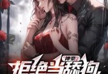 完结版《神豪：拒绝当舔狗，我要做渣男》免费阅读-侠客文学