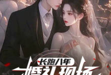 《长跑八年,婚礼现场她奔向白月光》小说叶陵苏颜章节章节免费在线阅读-侠客文学