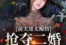 已完结小说《前夫哥太痴情，抢夺二婚新郎席位》在线章节阅读-侠客文学