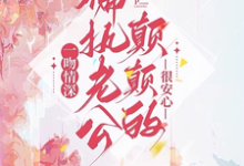 小说《一吻情深，偏执老公颠颠的很安心》在线章节阅读-侠客文学