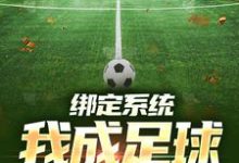 绑定系统:我成足球小飞人小说有没有完结版在线?-侠客文学