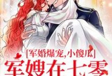 《军婚爆宠,小傻瓜军嫂在七零赢麻了》小说许烟宋言彻章节章节免费在线阅读-侠客文学