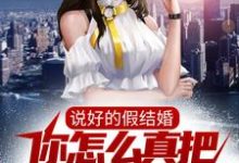 已完结小说《说好的假结婚，你怎么真把女神拿下了？》章节在线阅读-侠客文学