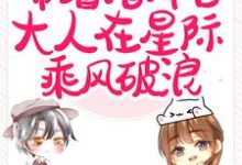 闪婚后，带着指挥官大人在星际乘风破浪黎泽贺星决在线章节免费阅读-侠客文学