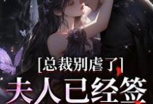 已完结小说《总裁别虐了,夫人已经签了离婚书》章节免费阅读-侠客文学