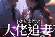 完结版《女人太惹火，大佬追妻有点甜》免费阅读-侠客文学