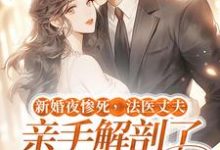 新婚夜惨死，法医丈夫亲手解剖了我的尸体这本小说怎么样？免费在线阅读试试-侠客文学