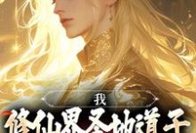 求我，修仙界圣地道子，不讲武德！小说的全文免费阅读链接-侠客文学