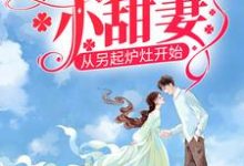 八零娇娇小甜妻,从另起炉灶开始小说完结了吗?在哪里可以免费读到?-侠客文学