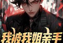 小说《我被我姐亲手送进夜总会》章节免费阅读-侠客文学