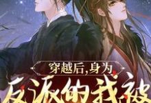 小说《穿越后，身为反派的我被王爷独宠了》在线章节阅读-侠客文学