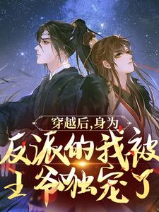 小说《穿越后，身为反派的我被王爷独宠了》在线章节阅读