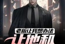 老板让我想办法,让他和老婆离婚章节免费在线阅读,秦羽完结版-侠客文学