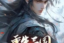 重生三国，开局黄巾起义这本小说完结了吗？免费查看最新章节-侠客文学