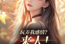 求玩弄我感情？来人！给我往死虐小说免费资源-侠客文学