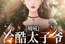 顾晚晚傅野小说叫什么（糟！闪婚老男人竟是京圈太子爷免费阅读）-侠客文学