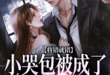 已完结小说《将错就错：小哭包被成了大佬心尖宠》章节在线阅读-侠客文学