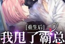 小说《重生后，我甩了霸总享单身夜》章节阅读-侠客文学