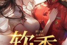 不是大哥,你兜这大一圈就为娶我免费阅读,不是大哥,你兜这大一圈就为娶我杨采薇杨宗宪-侠客文学