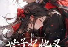 世子，世子妃她又开始扮可怜了小说全文阅读需要付费吗？寻找免费资源-侠客文学