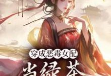 完结版《穿成恶毒女配，当绿茶这么有趣？》章节阅读-侠客文学