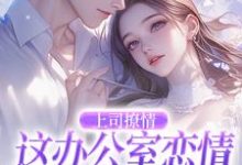 完结版《上司撩情,这办公室恋情我谈定了》免费阅读-侠客文学