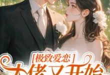 极致爱恋，大佬又开始攻心了季染傅京渊小说免费阅读-侠客文学