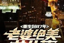 小说《重生到87年，老婆绝美女儿萌》章节免费阅读-侠客文学