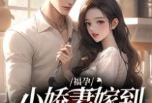 已完结小说《福孕小娇妻嫁到，大佬宠上头了》章节免费阅读-侠客文学