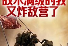 已完结小说《抗战：战术满级的我又炸敌营了》在线章节阅读-侠客文学
