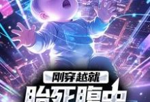 《刚穿越就胎死腹中，我化身诡婴》小说章节在线试读，《刚穿越就胎死腹中，我化身诡婴》最新章节目录-侠客文学