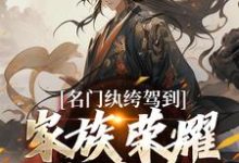 名门纨绔驾到，家族荣耀我来续小说，名门纨绔驾到，家族荣耀我来续最新章节-侠客文学