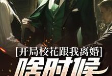 开局校花跟我离婚，啥时候结的婚？小说的免费阅读版本在哪里可以找到？-侠客文学