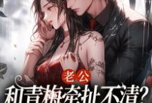 小说《老公和青梅牵扯不清？我放你自由！》章节免费阅读-侠客文学