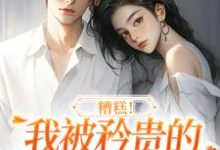 糟糕！我被矜贵的大小姐缠上了沈南意谢霄北在线章节免费阅读-侠客文学