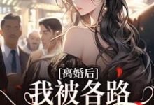 离婚后，我被各路大佬缠上了小说全文哪里可以免费看？-侠客文学