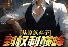 从家族弃子到权利巅峰，我赌赢了小说的无弹窗阅读体验，寻找免费阅读网站-侠客文学