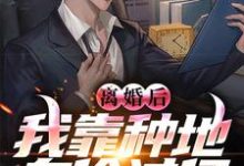 离婚后，我靠种地身价过亿小说无弹窗阅读的网站推荐-侠客文学