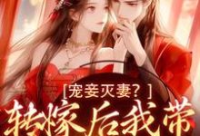 宠妾灭妻？转嫁后我带皇子夺王位谢景卓沈晚，宠妾灭妻？转嫁后我带皇子夺王位在线无弹窗阅读-侠客文学