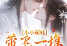 已完结小说《小小萌娃，带飞一堆隐世大能》章节免费阅读-侠客文学