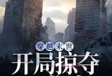 小说《穿越末世，开局掠夺S物资》章节免费阅读-侠客文学