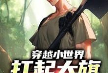 刘念安李淑兰小说《穿越小世界,扛起大旗就是干》在线阅读-侠客文学