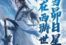 我在西游世界，当昴日星官小说完结版章节免费阅读-侠客文学