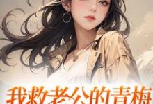 《我救老公的青梅，却反被她诬陷》小说大结局免费试读 陆子恒盛肖苒小说-侠客文学