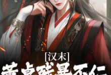 寻找能够免费阅读汉末：董卓残暴不仁？我起义警告小说的平台-侠客文学