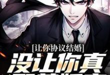 小说《让你协议结婚，没让你真娶美娇妻》在线章节阅读-侠客文学