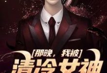 求那晚，我被清冷女神强吻了小说的全文免费阅读链接-侠客文学