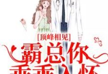 小说《顶峰相见，霸总你乖乖入怀》章节免费阅读-侠客文学