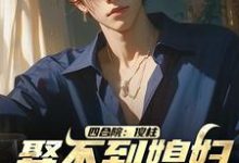 四合院:傻柱,娶不到媳妇找我干啥陈大军小说在线章节目录阅读最新章节-侠客文学