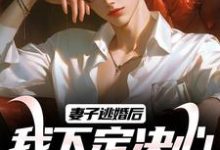 叶陵苏颜小说妻子逃婚后，我下定决心选了她在线阅读-侠客文学